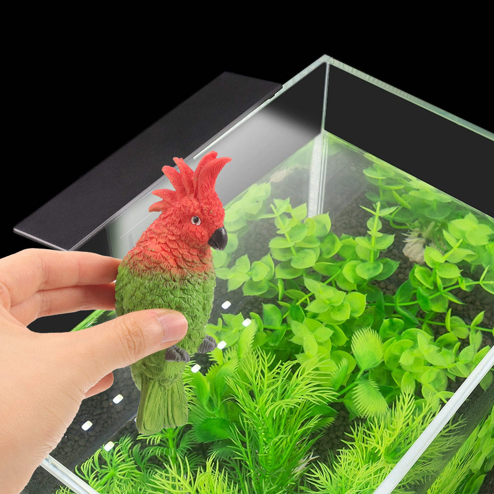 Mini Parrot Aquarium Wall Hang - Aquarium Fish Parrot 评论和价格