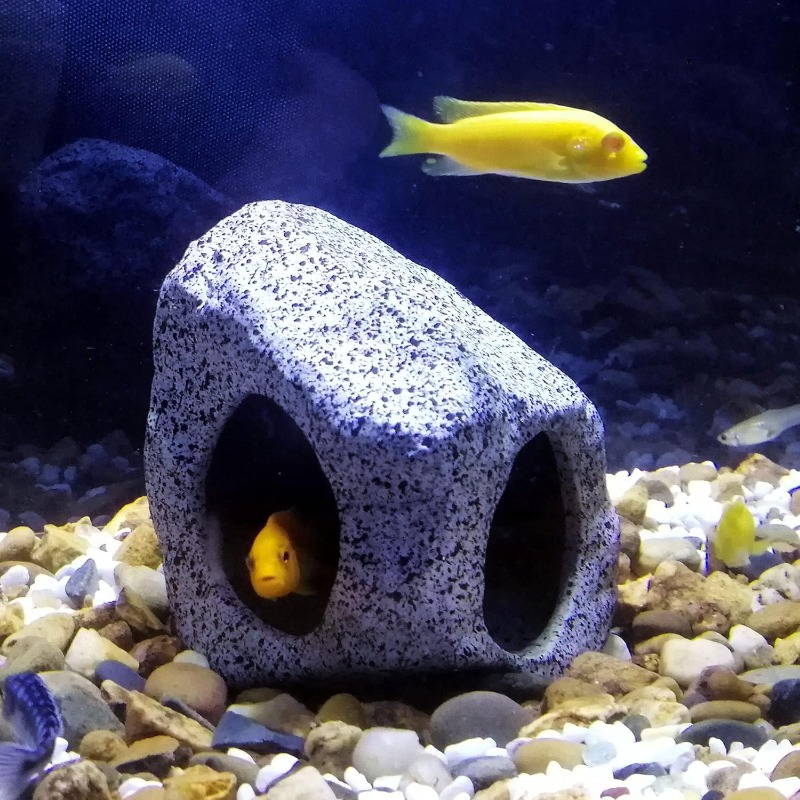 Fish Tank Cave Stone Landscapi - Aquarium Fish Cartoon 评论和价格