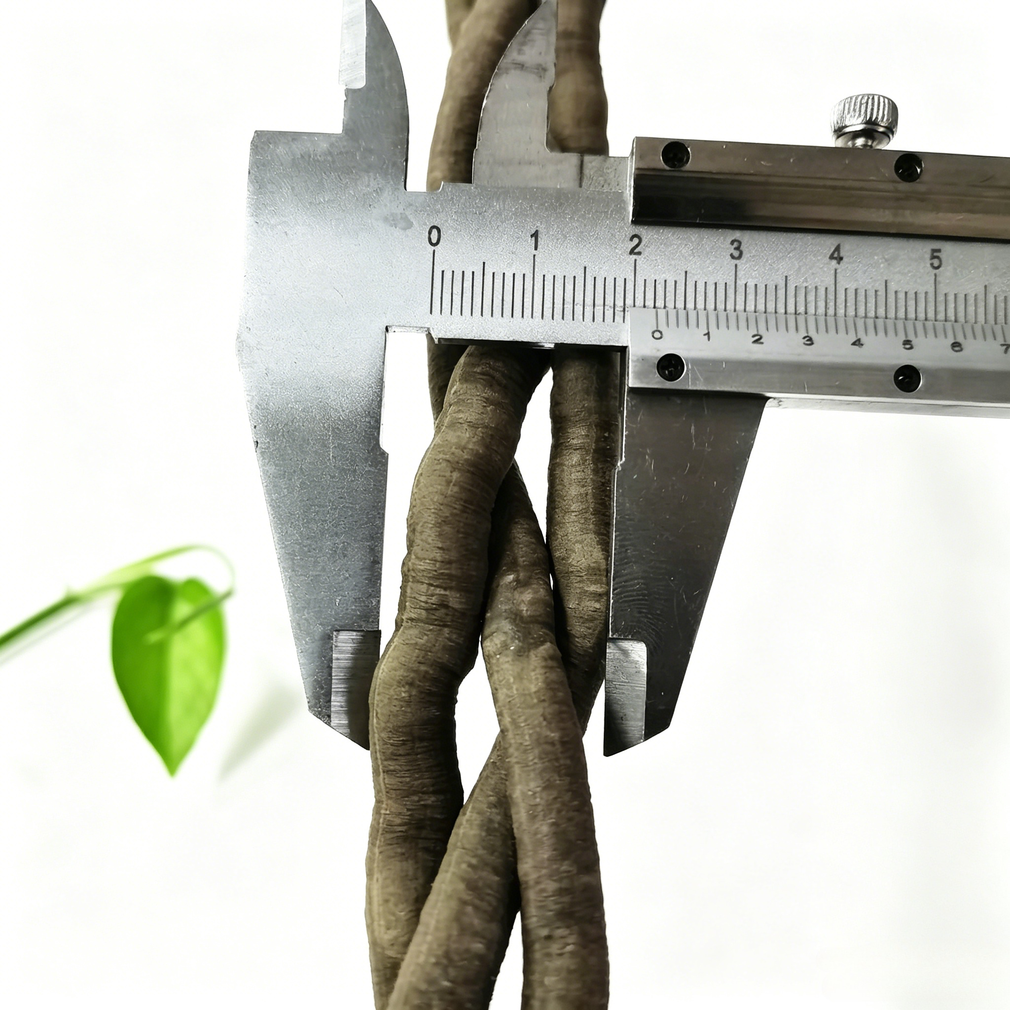 100cm Artificial Vine Plant Cl - Aquarium Fish Only 评论和价格