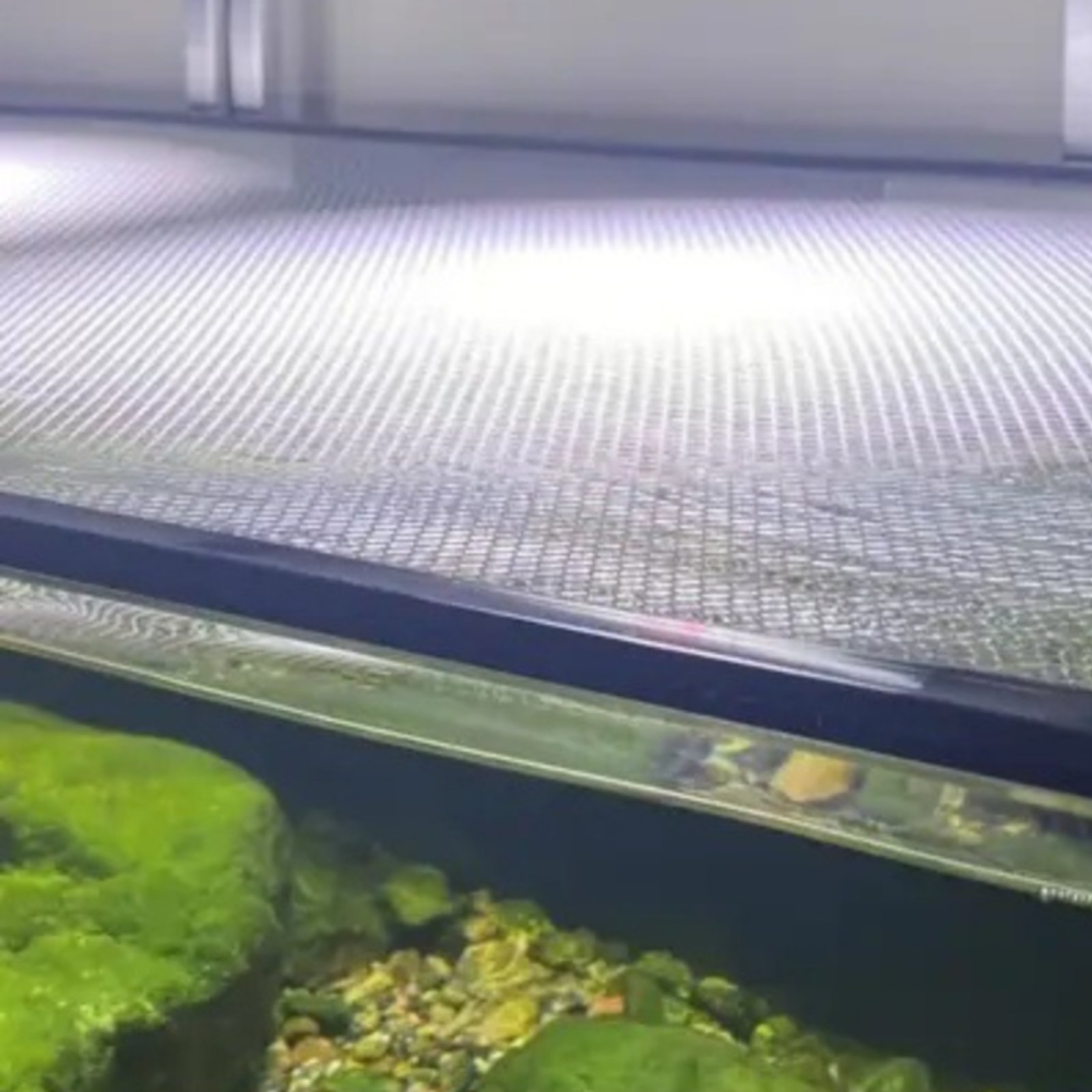 Fish Aquarium Net Cover Quick  - Aquarium Fish Jumping 评论和价格