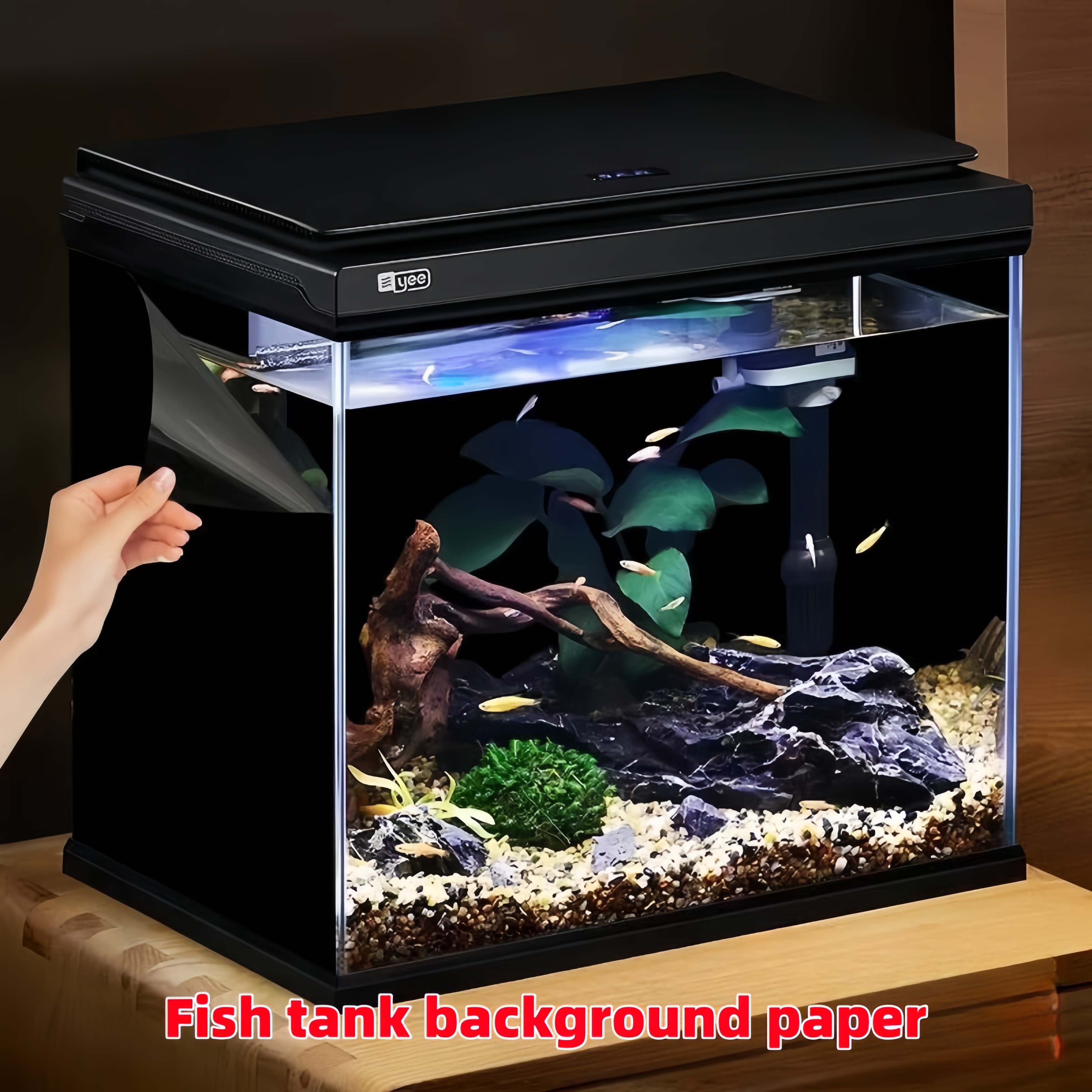 Black Aquarium Background Wall - Aquarium Fish Wallpaper 评论和价格