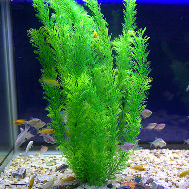 30cm Aquarium Artificial Water - Aquarium Fish Only 评论和价格