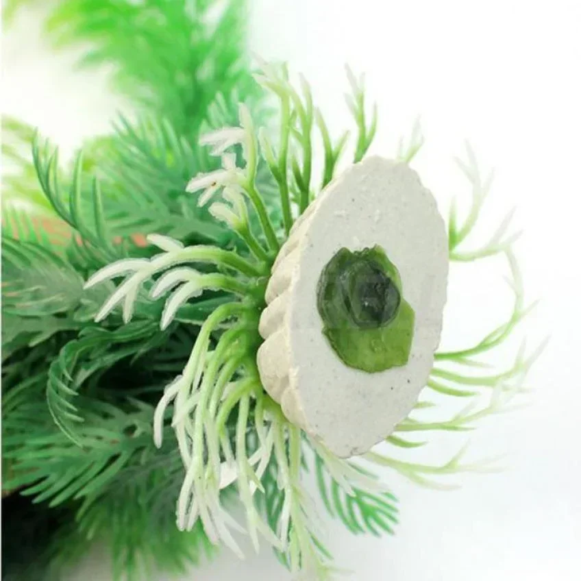 30cm Aquarium Artificial Water - Aquarium Fish Only 评论和价格