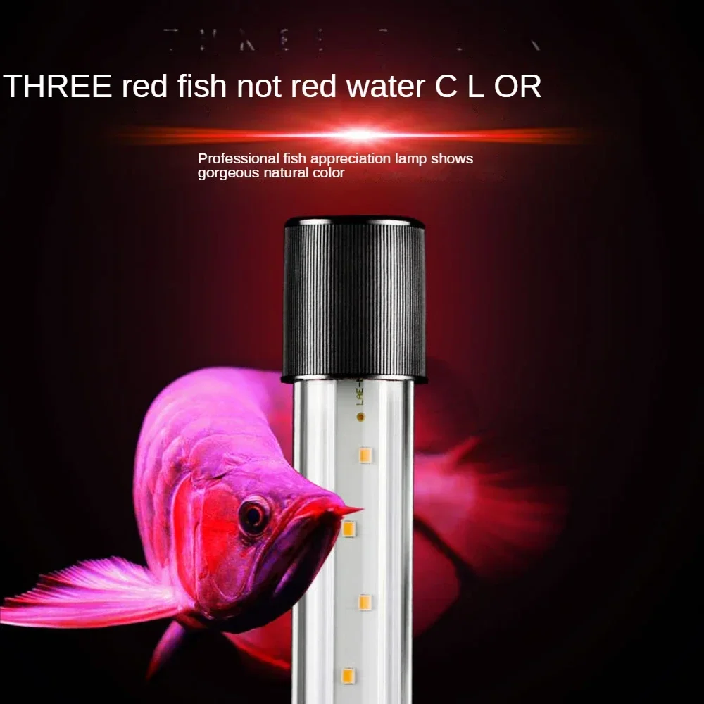 Arowana Lamp, LED Glass Aquari - Aquarium Fish Parrot 评论和价格
